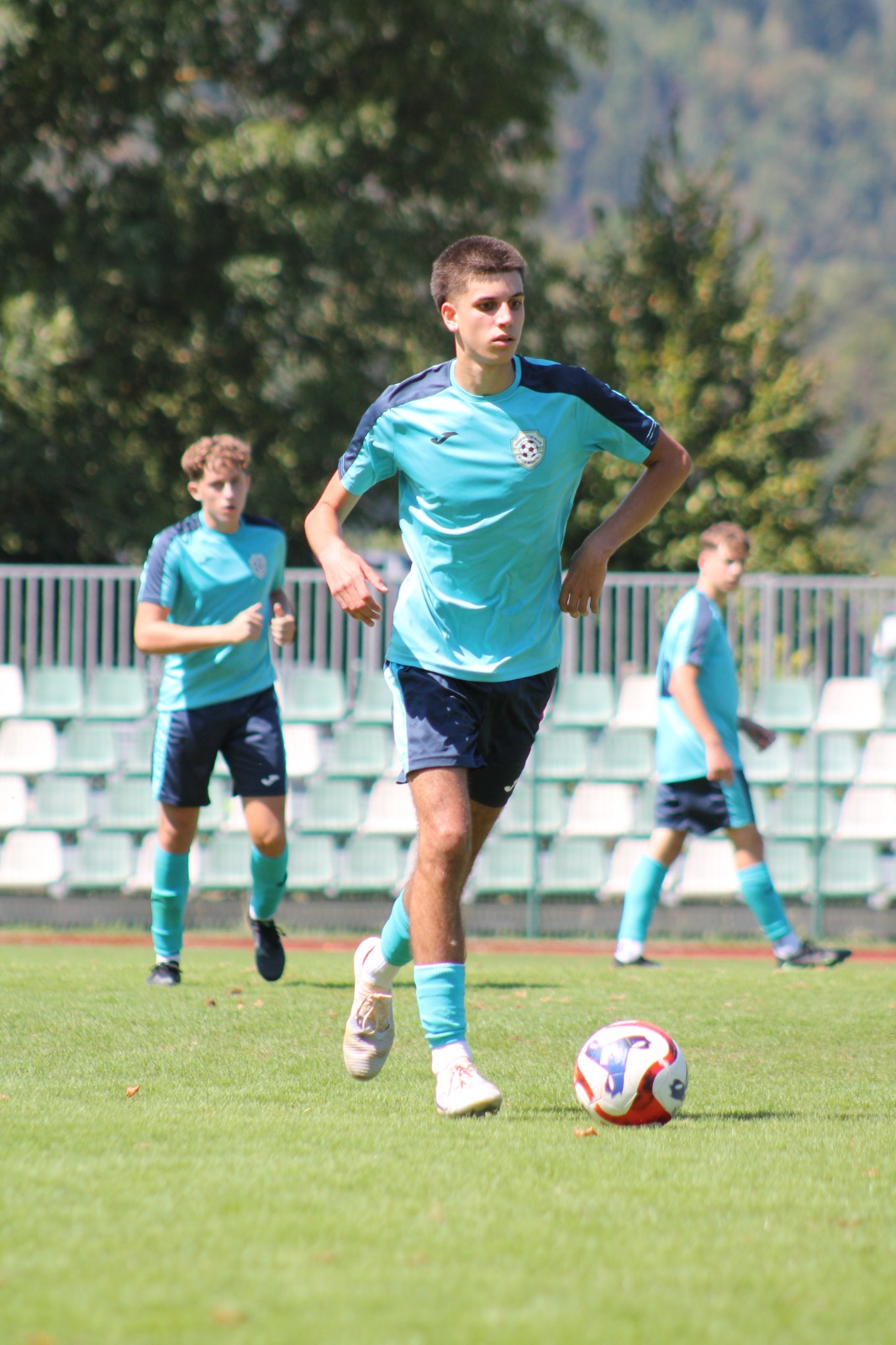 Slika v galeriji 6