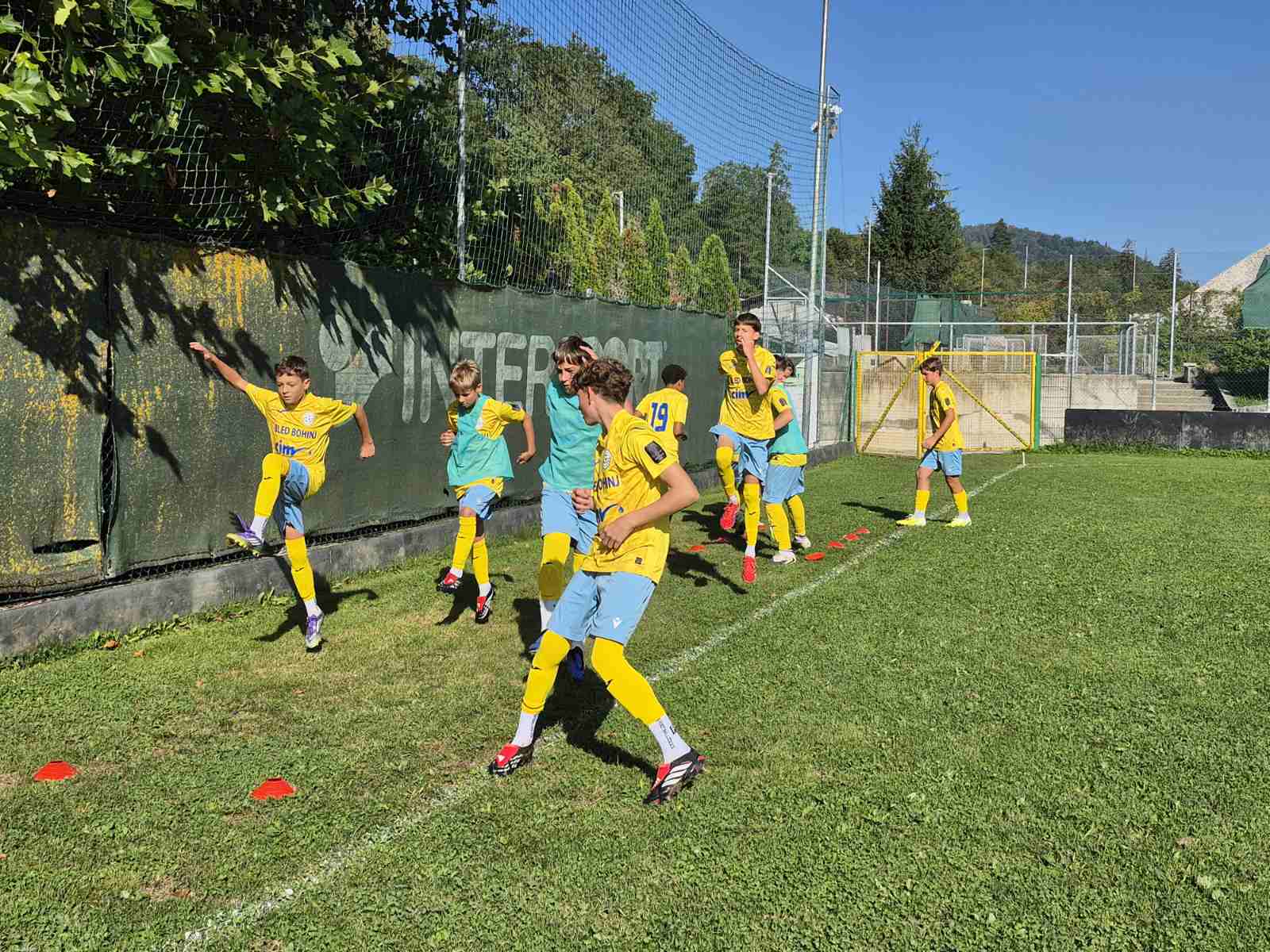 Slika v galeriji 1