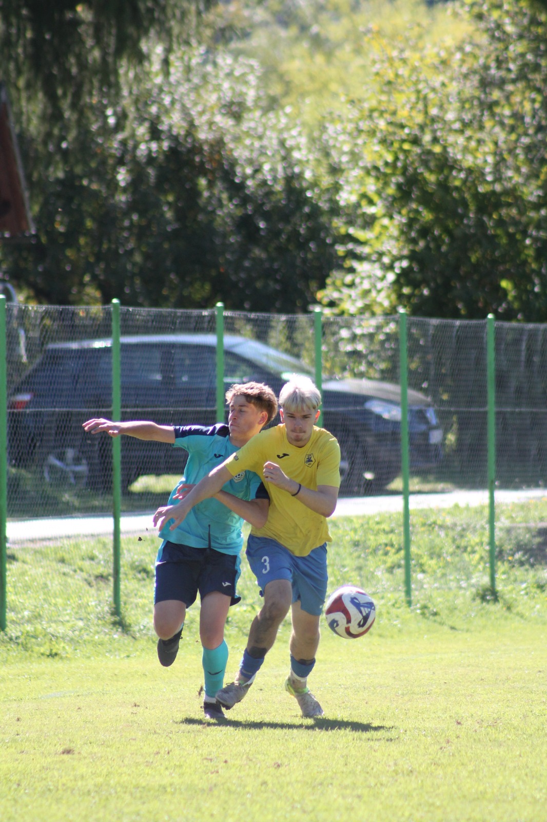 Slika v galeriji 1