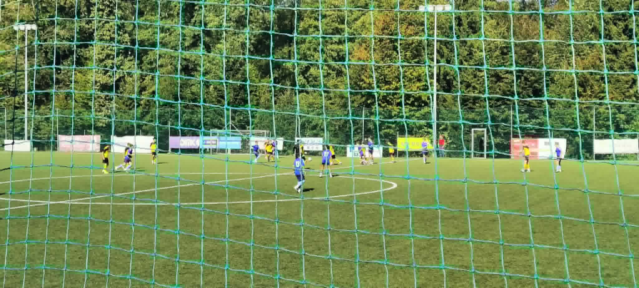Slika v galeriji 1